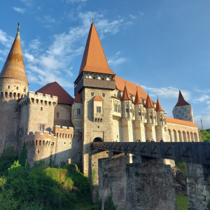 Screenshot 2026-01-01 133539