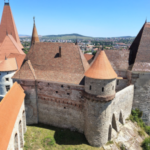 Screenshot 2026-01-01 133544