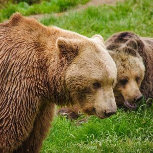 imgp5543-133-largejpg