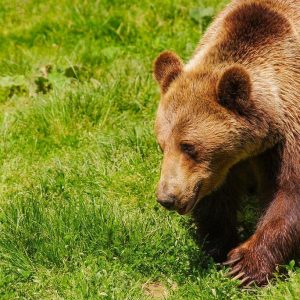 imgp5691-148-largejpg